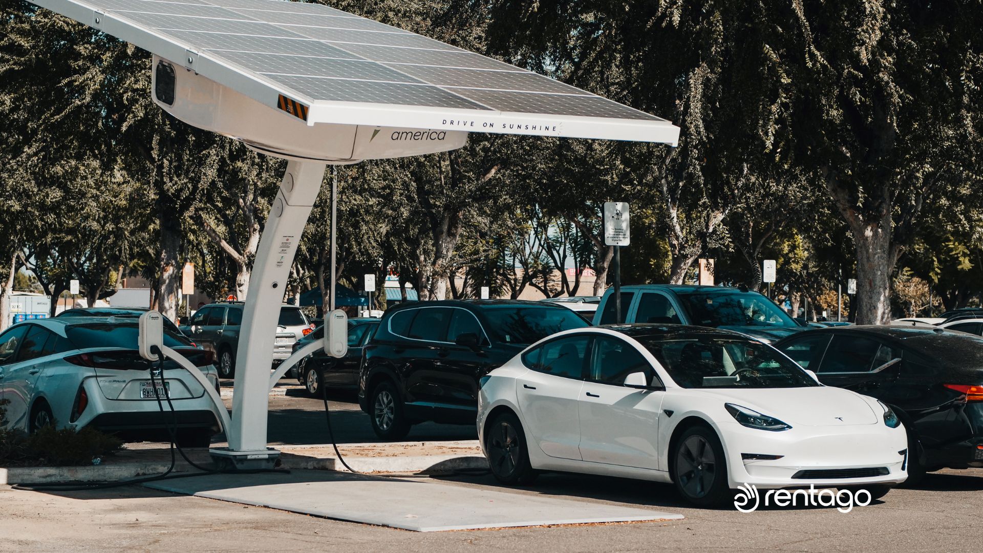 tesla model 3 vs polestar 2