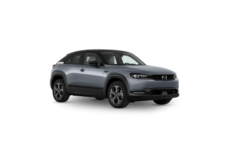 SUV elettrici economici