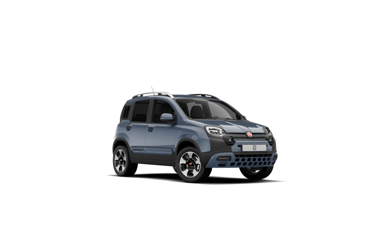 fiat grande panda vs fiat pandina