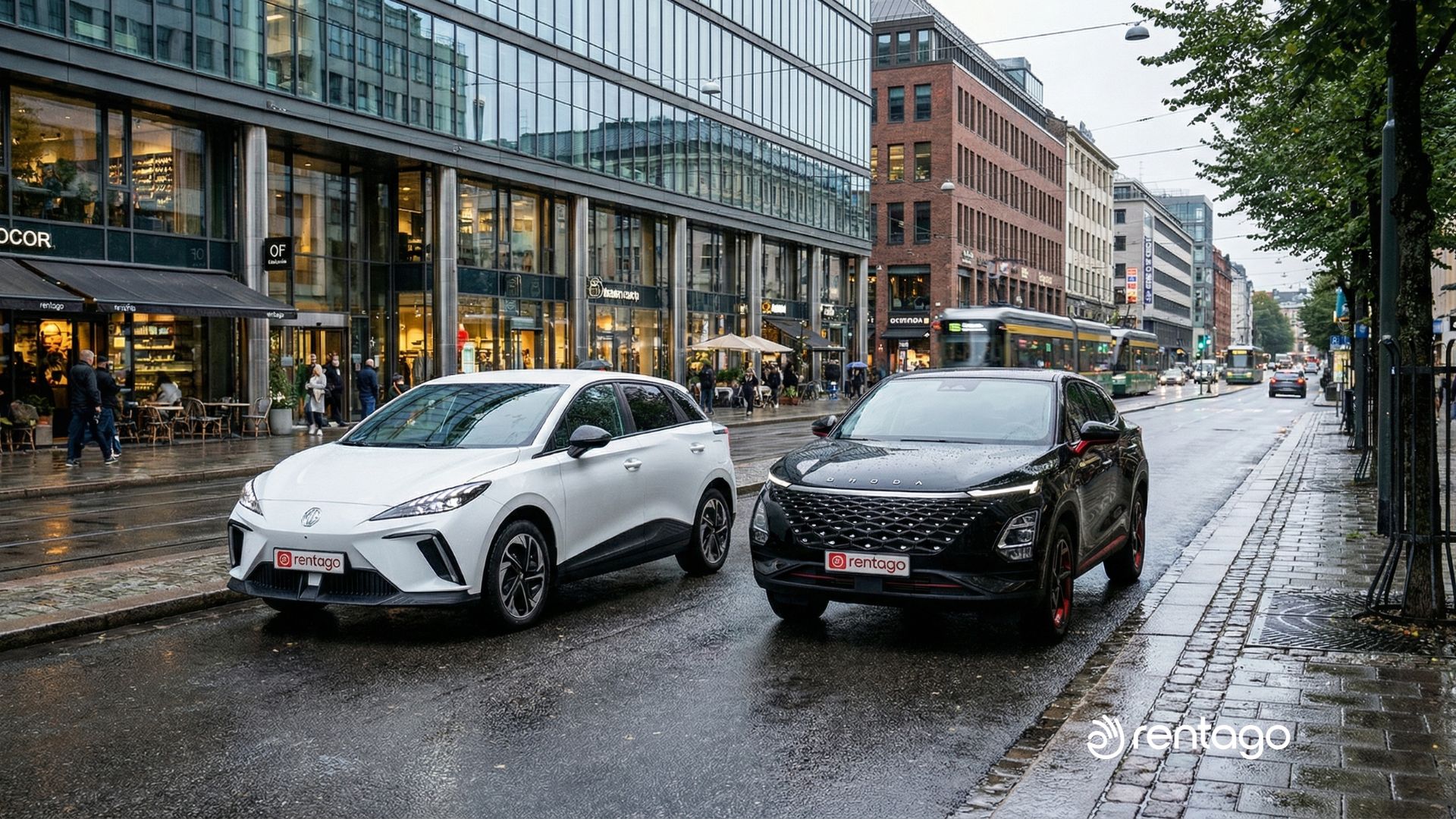 auto elettriche cinesi